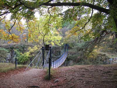 Winch Bridge