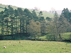 Near Windshaw Bridge