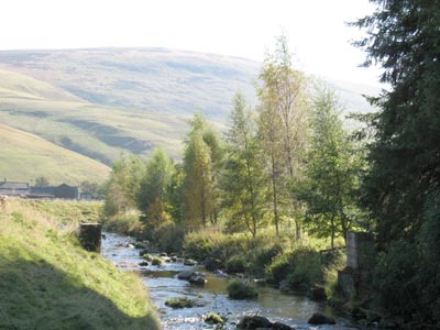 Windyhaugh