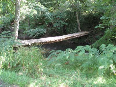 Wooden Footbridge Hulne Park