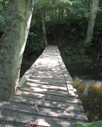 Wooden Footbridge Hulne Park