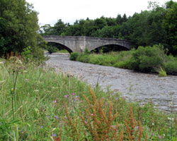 Witton Park Bridge from west